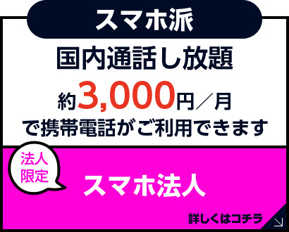 �u�X�}�z�@�l�v�ڂ����̓R�`��